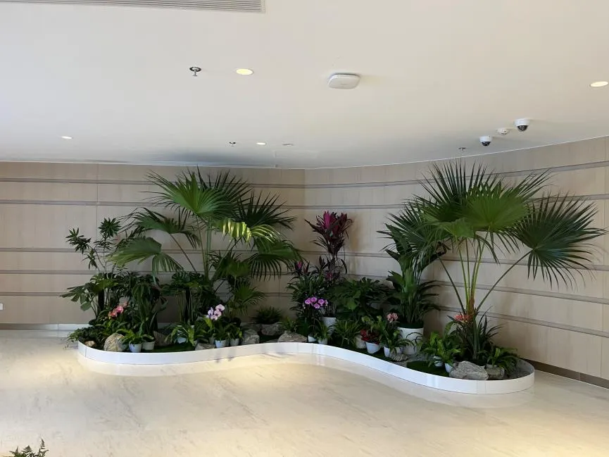 宁波北仑花卉租赁服务好